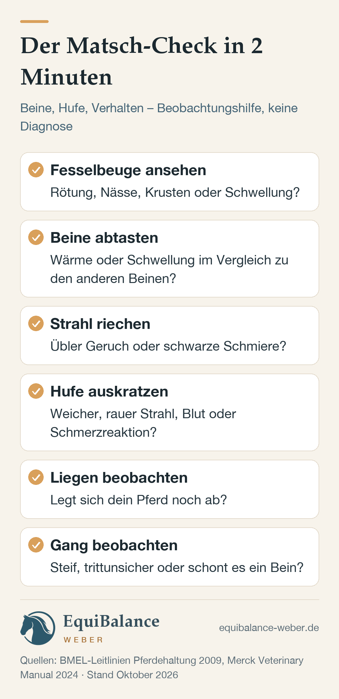 Der Matsch-Check in 2 Minuten in sechs Punkten: Fesselbeuge ansehen (Rötung, Nässe, Krusten oder Schwellung), Beine abtasten (Wärme oder Schwellung im Vergleich zu den anderen Beinen), Strahl riechen (übler Geruch oder schwarze Schmiere), Hufe auskratzen (weicher, rauer Strahl, Blut oder Schmerzreaktion), Liegen beobachten (legt sich das Pferd noch ab) und Gang beobachten (steif, trittunsicher oder Schonung eines Beins). Beobachtungshilfe, keine Diagnose.